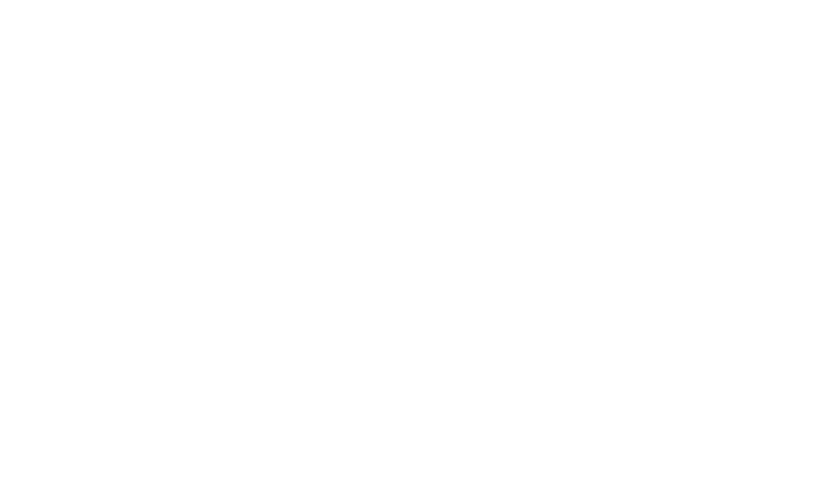 Saint Leonard Limousine Logo